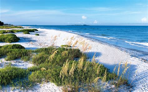 fort desoto nude beach|Beach Guide: Fort De Soto Park in Tierra Verde .